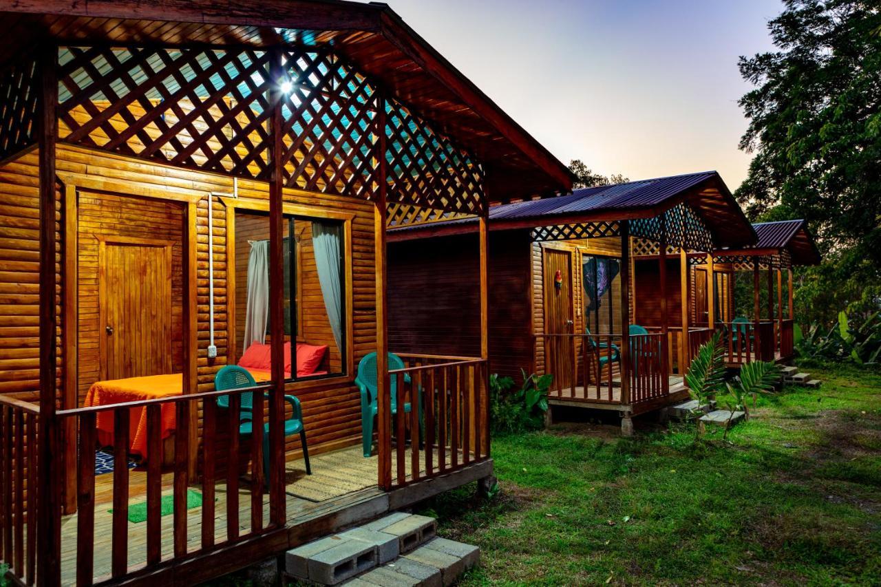 Oso De Osa Hotel Sierpe Ngoại thất bức ảnh