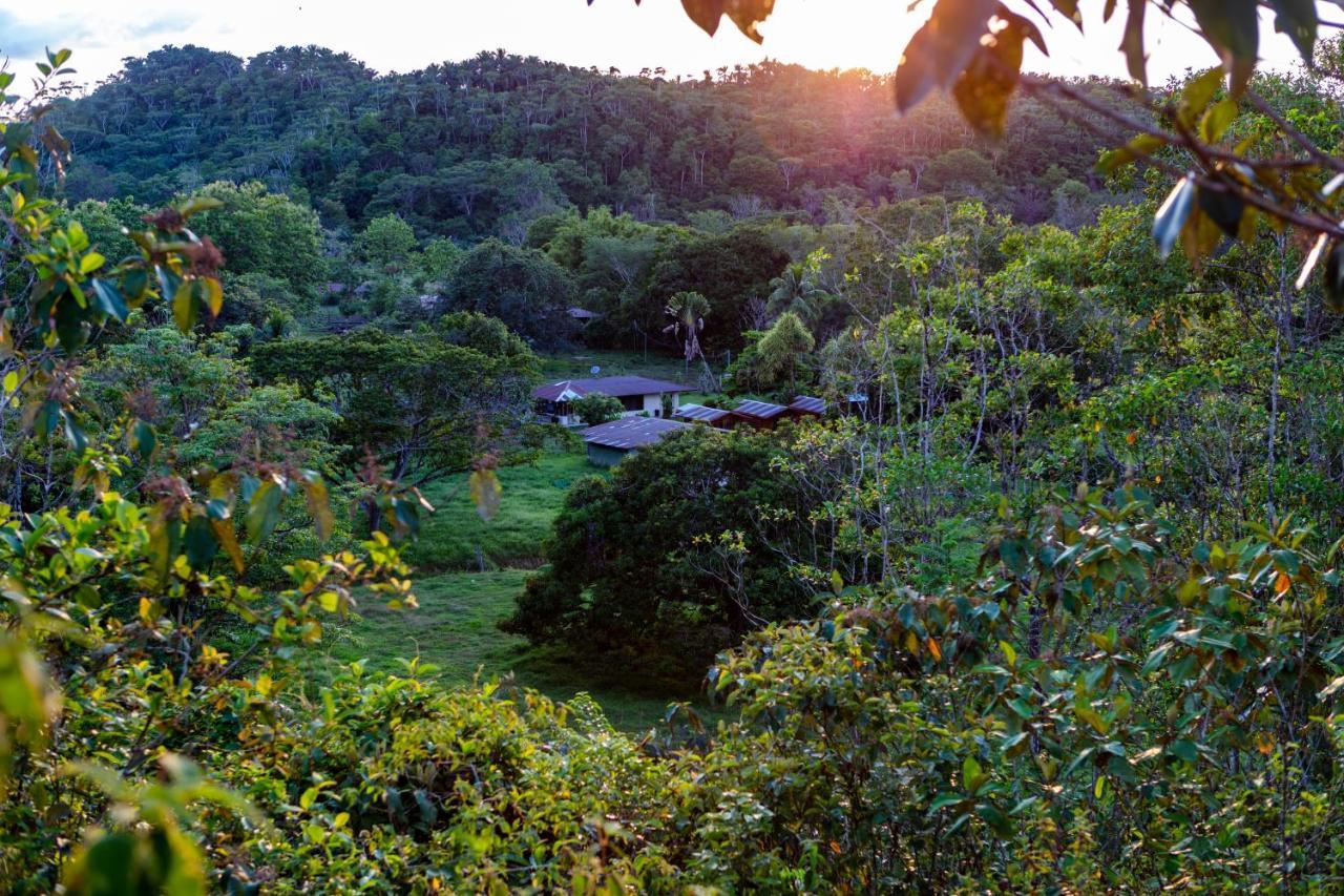 Oso De Osa Hotel Sierpe Ngoại thất bức ảnh
