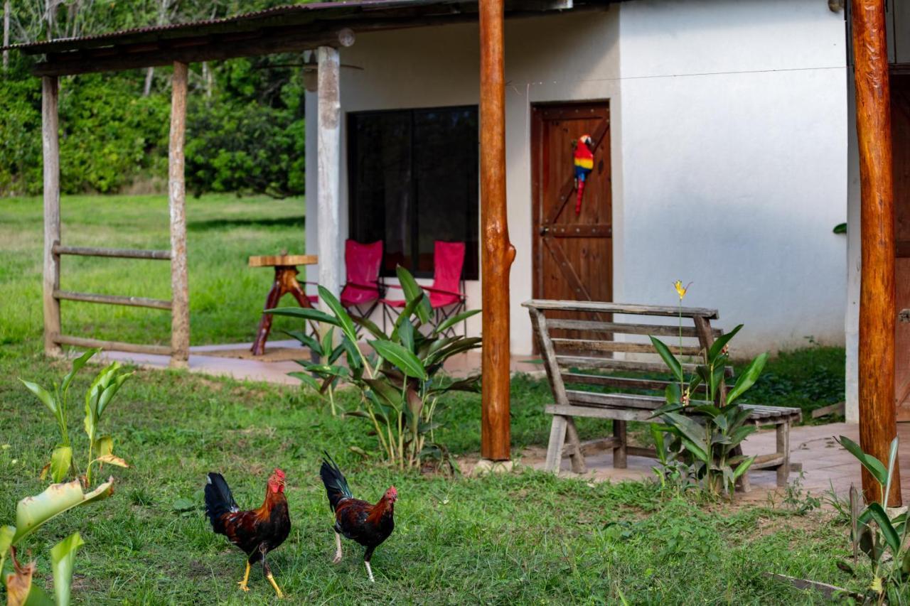Oso De Osa Hotel Sierpe Ngoại thất bức ảnh